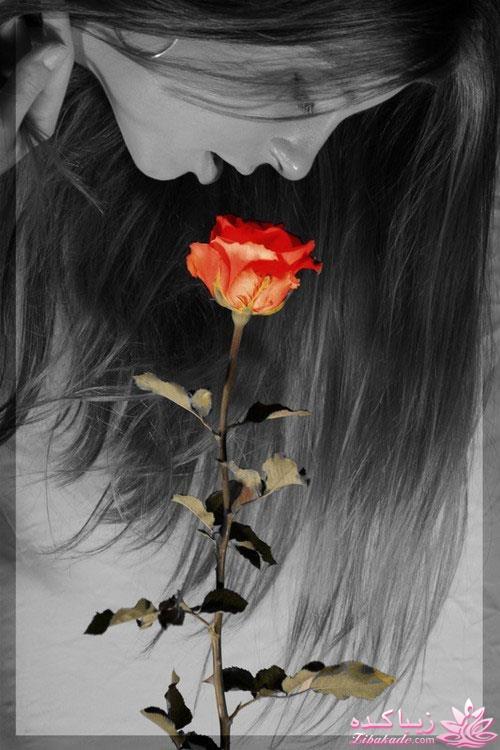 رویایی ترین تصویری که دارید بزارید ....